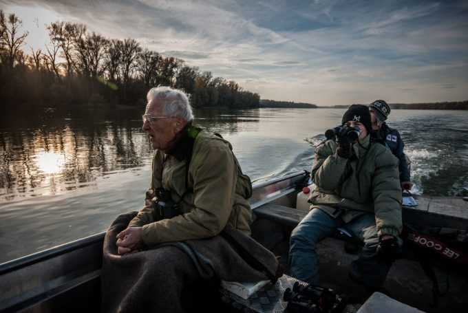 International Winter Census of water birds on Danube, © by Nenad Setina International Winter Census of water birds on Danube, © by Nenad Setina