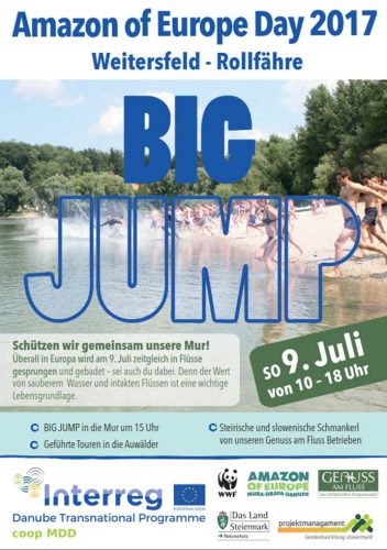 BIG JUMP 2017