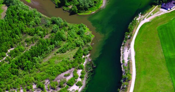 Interreg Danube Project lifelineMDD - Projects - Amazon of Europe
