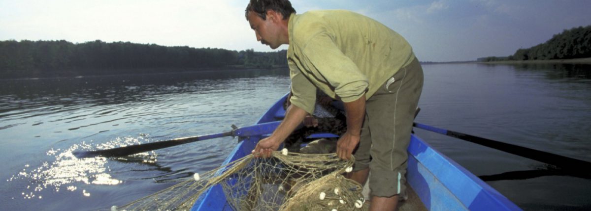 Rich fish habitats enable sustainable fisheries, © by Anton Vorauer/ WWF-Canon