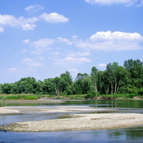 Wild River Landscape of the Mura in Slovenia, © by Arno Mohl, WWF Austria