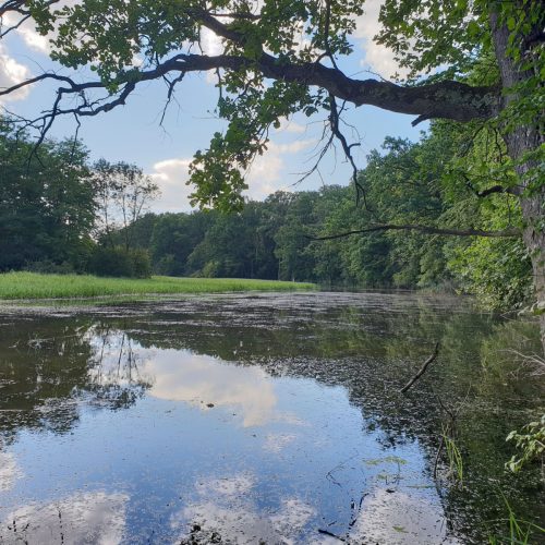 Mura river, © by Aleksander Koren