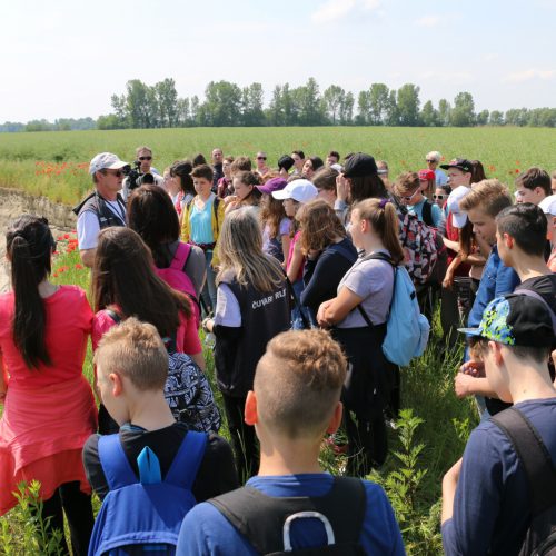 School field trip, © by Marta Lenac