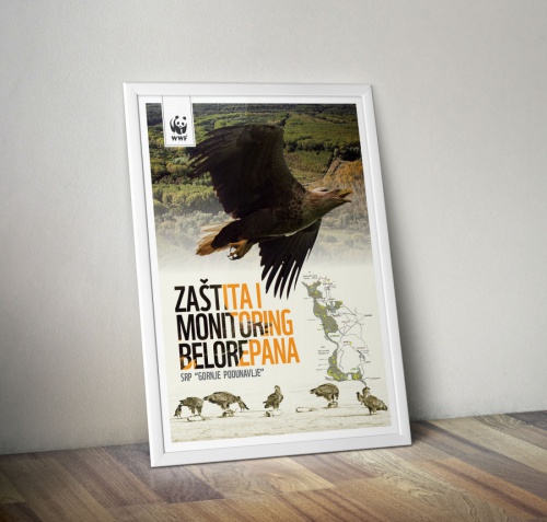 white-tailed eagle campaign, © by WWF Adria