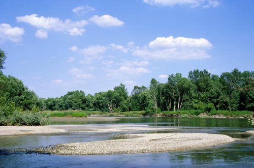 Natural border Mura between Slovenia and Croatia, © by Arno Mohl WWF AT