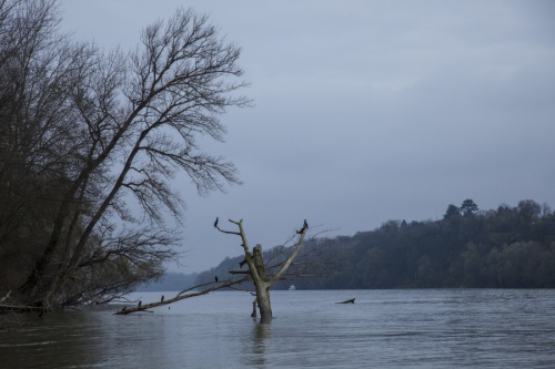 Serbian Danube, © by Szilárd Kovács