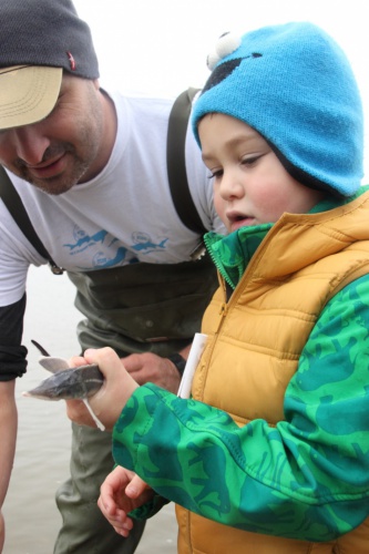 Sterlet release, © by WWF Konstantin Ivanov