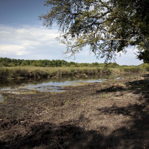 Restoration site, © by WWF in Serbia