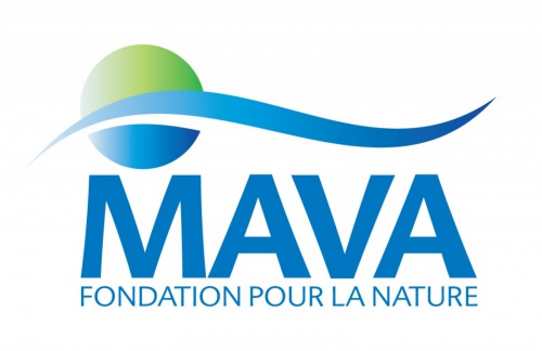 MAVA logo