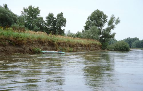 Steep bank Drava, © by Arno Mohl WWF AT