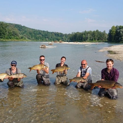 lifeline MDD fish survey, © by BOKU - University of Natural Resources and Life Sciences Vienna