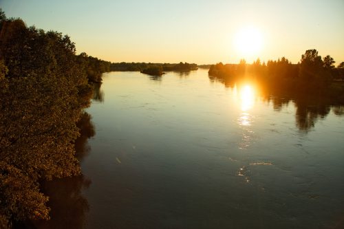 Drava, © by Goran Šafarek