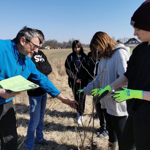 volunteering action: planting trees, © by RMSO